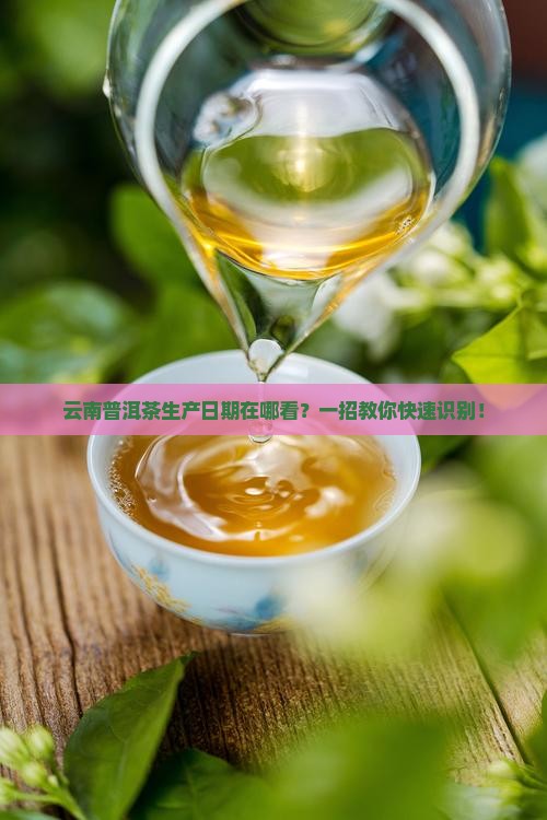 云南普洱茶生产日期在哪看