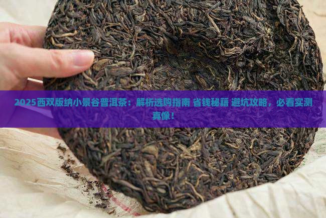 西双版纳小景谷普洱茶