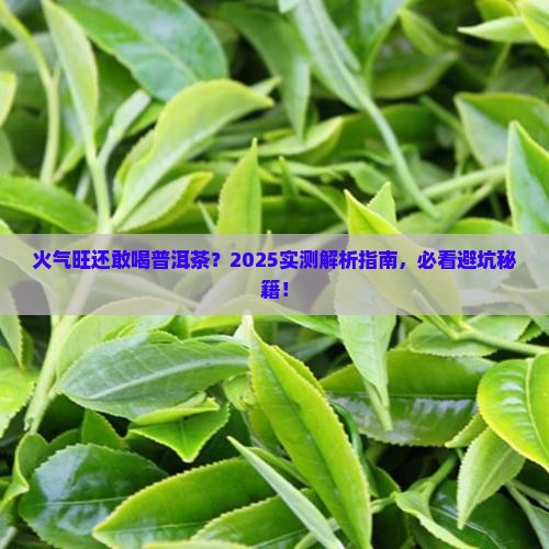 火气旺的人能否喝普洱茶