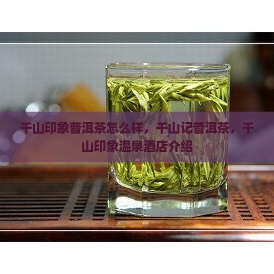 千山印象普洱茶