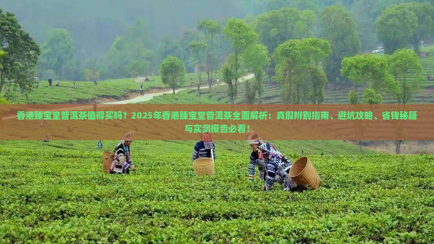 香港臻宝堂普洱茶