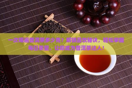 一次喝遍普洱茶多少克