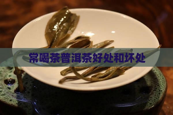 常喝茶普洱茶好处和坏处