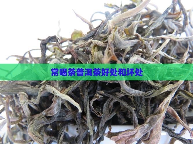 常喝茶普洱茶好处和坏处