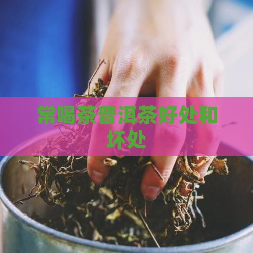 常喝茶普洱茶好处和坏处