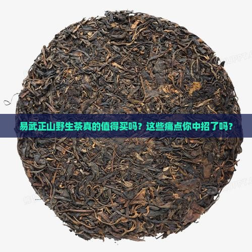 易武正山野生茶