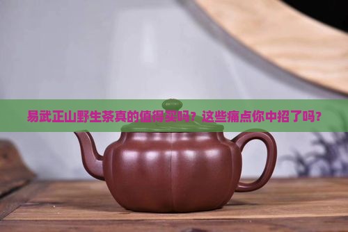 易武正山野生茶