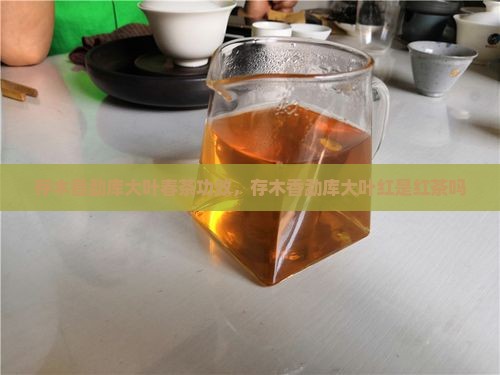存木香勐库大叶春茶功效