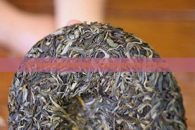 过了一夜普洱茶能喝吗