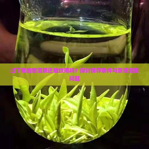 过了一夜普洱茶能喝吗