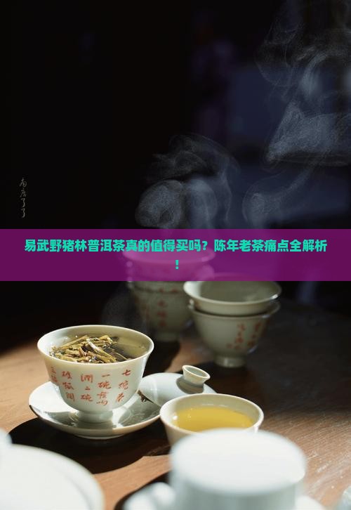 易武野猪林普洱茶