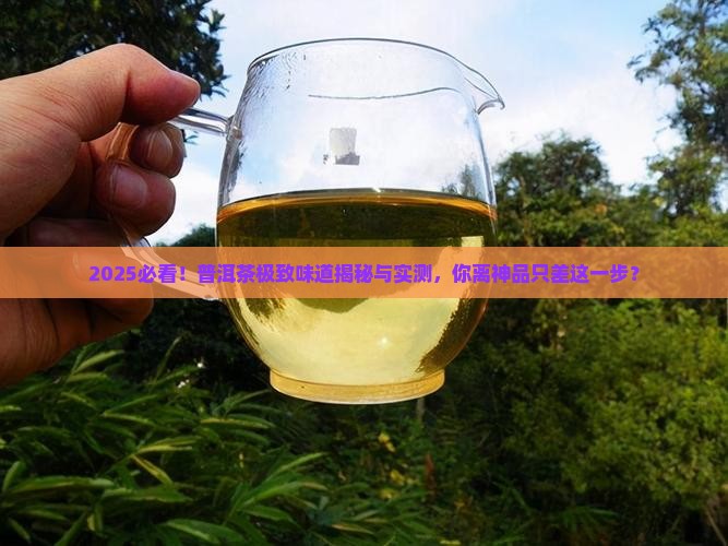 普洱茶极致的味道 普洱茶极致的味道