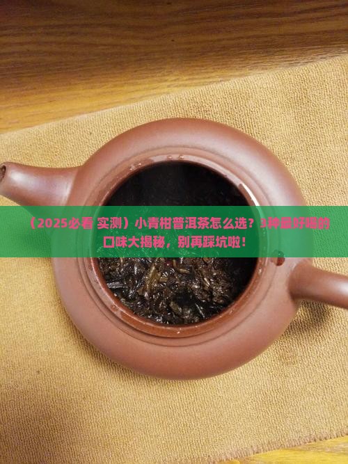 小青柑里面的普洱茶哪种最好喝