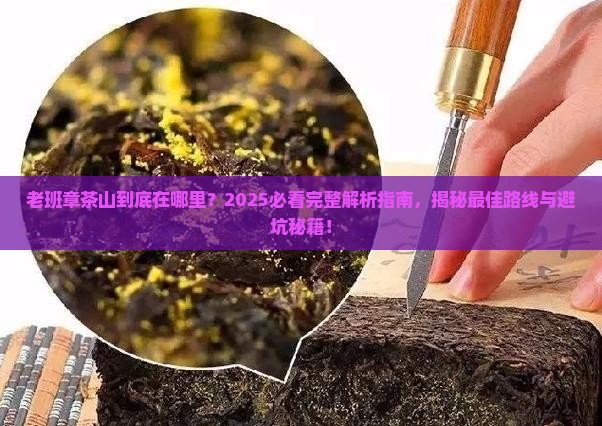 老班章茶山在哪里