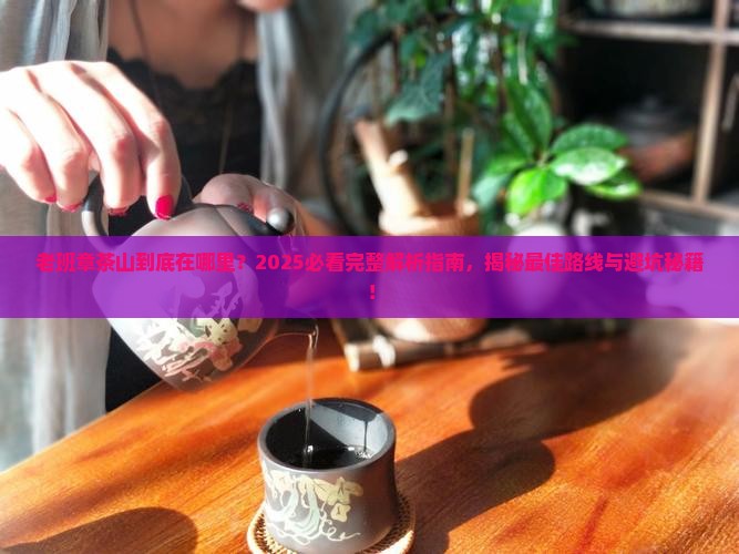 老班章茶山在哪里
