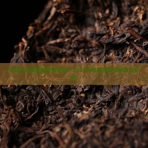 便宜普洱茶值得存放吗