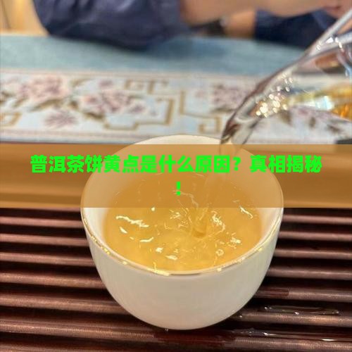 普洱茶饼黄点是什么原因