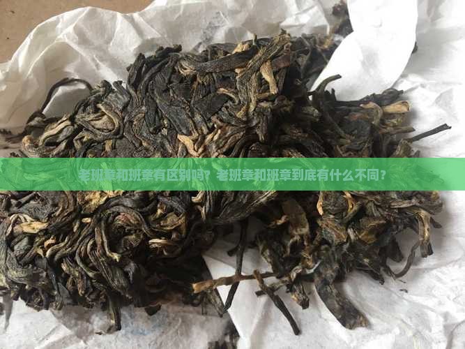 老班章和班章有区别吗