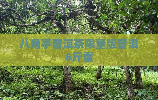 6斤重八角亭限量版普洱茶