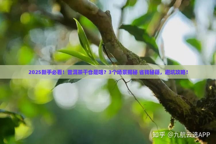 普洱茶干仓是啥