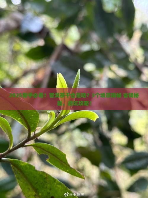 普洱茶干仓是啥
