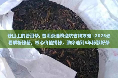 苍山上的普洱茶