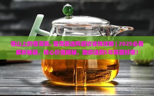苍山上的普洱茶