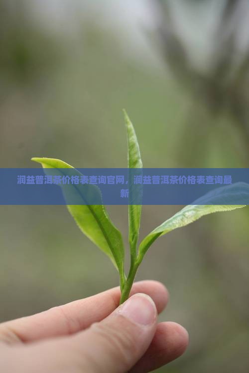 润益普洱茶价格表查询