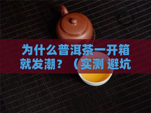 为什么普洱茶容易潮湿
