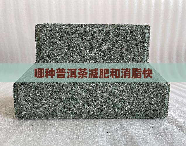 哪种普洱茶减肥和消脂快