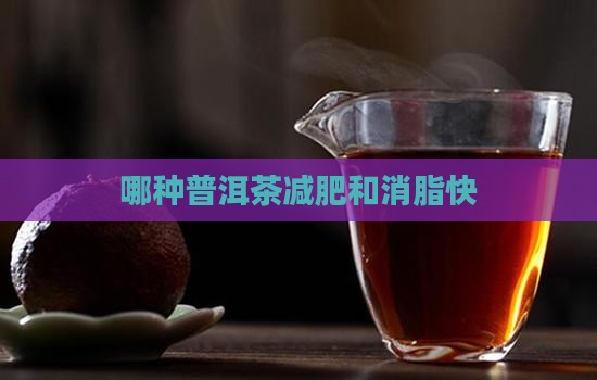 哪种普洱茶减肥和消脂快