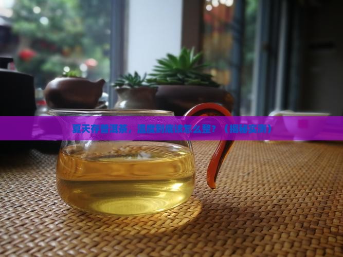 普洱茶夏天存放温度