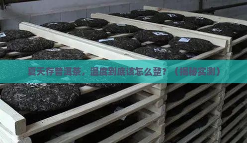 普洱茶夏天存放温度