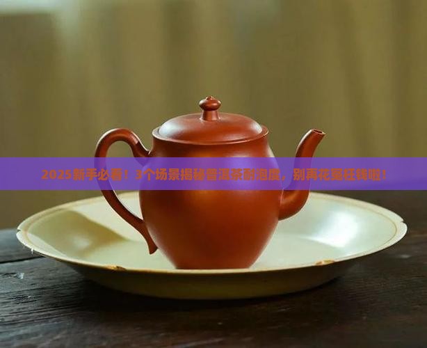 耐不耐泡的普洱茶
