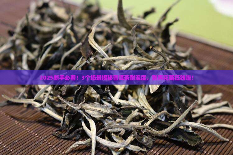 耐不耐泡的普洱茶