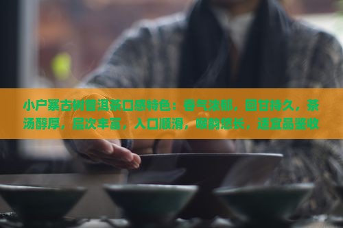小户寨古树普洱茶口感特色