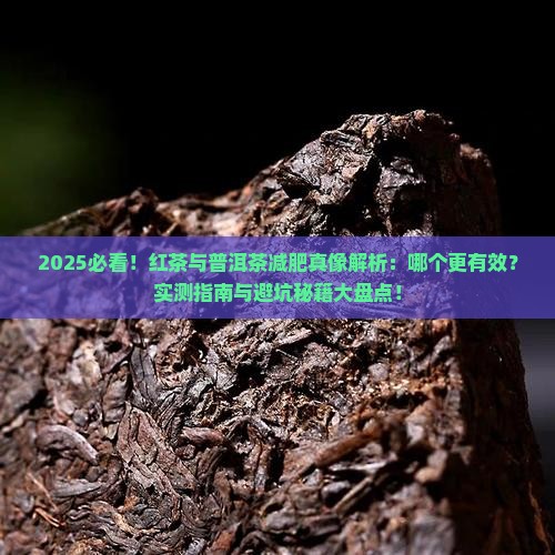 红茶普洱茶哪个减肥