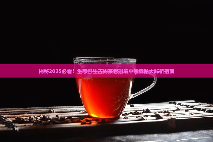 生态野生古树茶老班章中茶