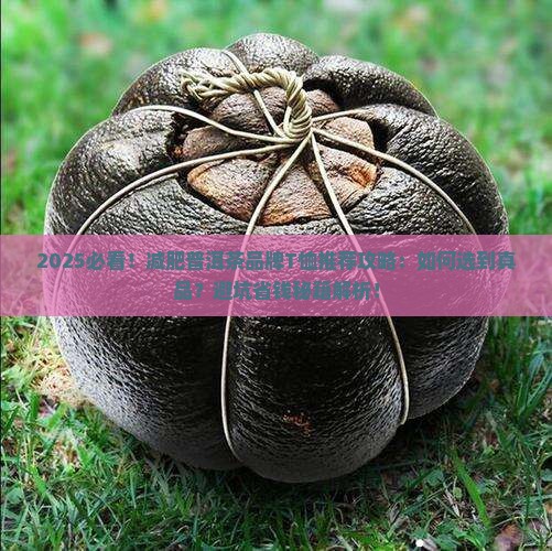 减肥普洱茶品牌t恤推荐