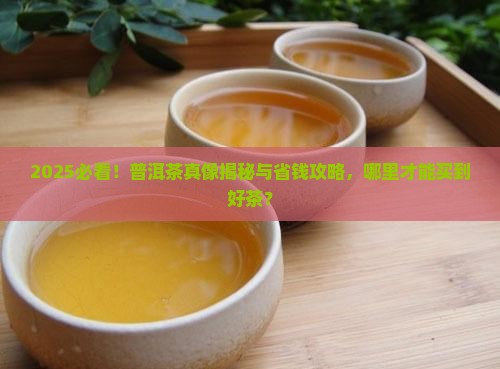普洱茶哪里能买到好的