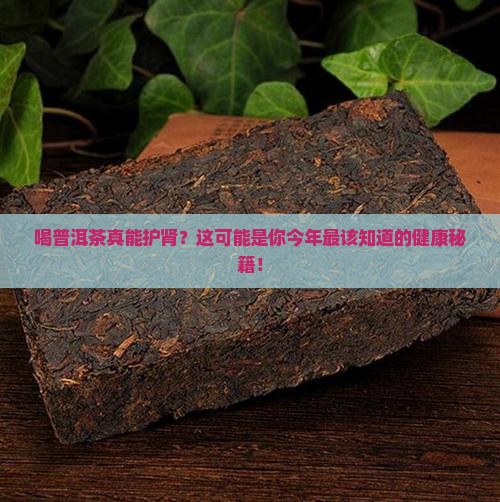 喝普洱茶对肾有什么好处
