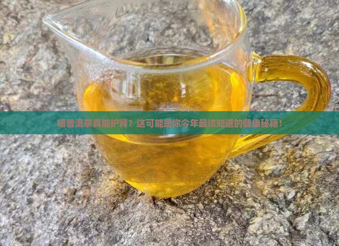 喝普洱茶对肾有什么好处
