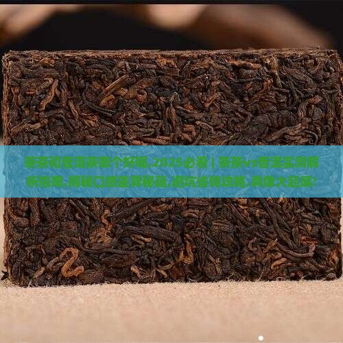茶茶和普洱茶哪个好喝