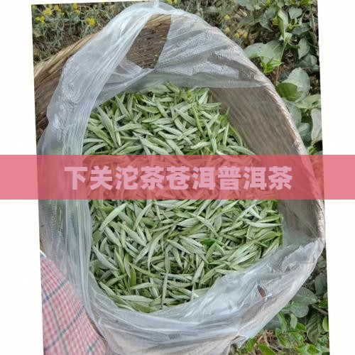 下关茶厂金苍洱普洱茶
