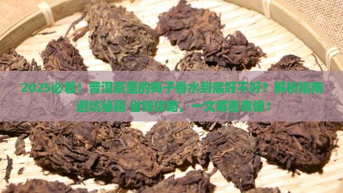 普洱茶里的梅子香水怎么样