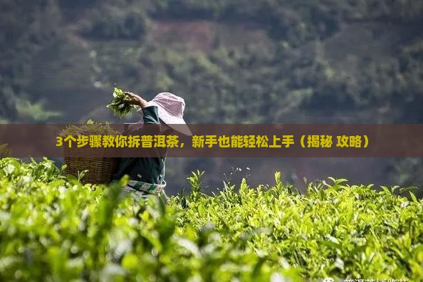 云南普洱茶怎么拆