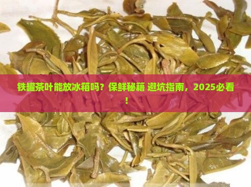 铁罐茶叶可以放冰箱吗