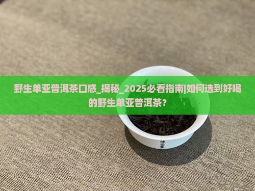 野生单亚普洱茶口感
