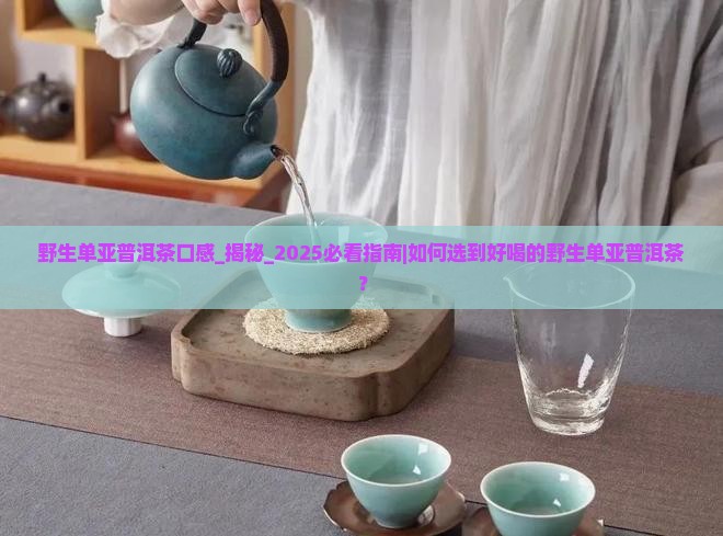 野生单亚普洱茶口感