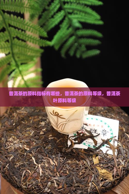 普洱茶的原料指标
